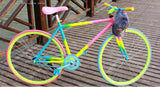 New colorful X-Front mixed 26-inch road bike for adults