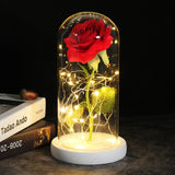 LED luminous eternal rose in an enchanted universe in its rotating dome - Decoration 2021