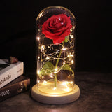 LED luminous eternal rose in an enchanted universe in its rotating dome - Decoration 2021