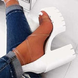 Women's Clear Ankle Strap Chunky High Heel Sandals